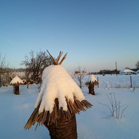 Dmitrenki Koryakivskyi Raiゲストハウス エクステリア 写真