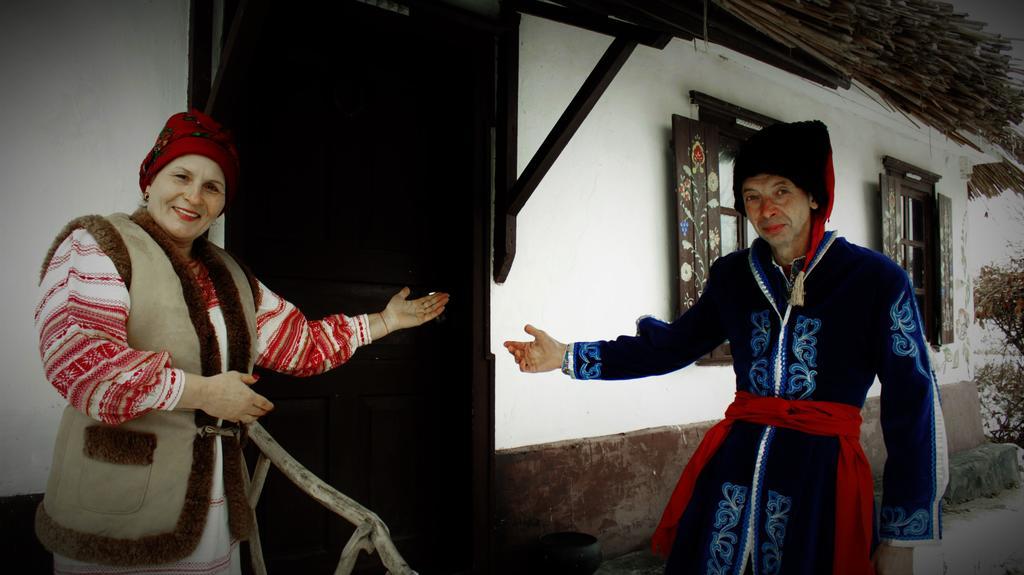 Dmitrenki Koryakivskyi Raiゲストハウス エクステリア 写真