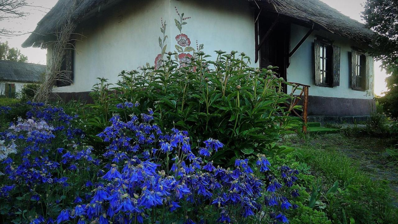 Dmitrenki Koryakivskyi Raiゲストハウス エクステリア 写真